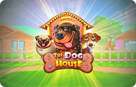 The Dog House — играть в vodka casino | Pragmatic Play